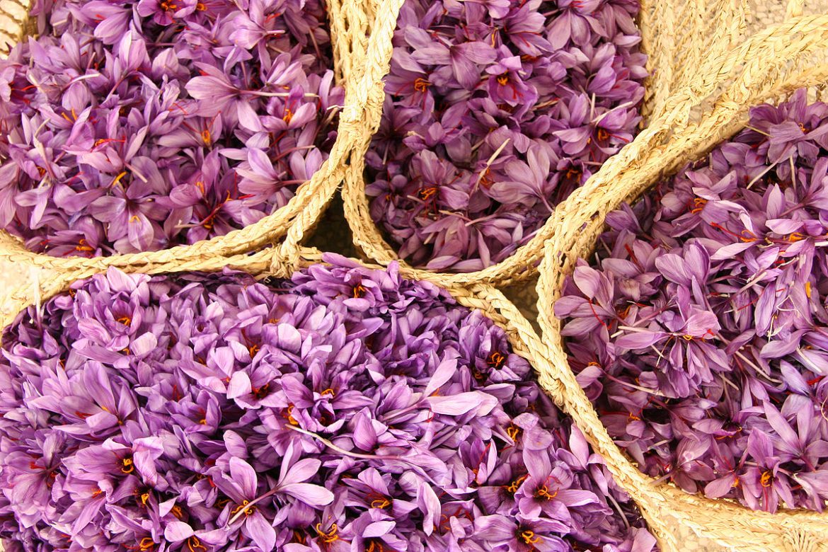 Uses Saffron Spice in Kenya to Produce Perfumes